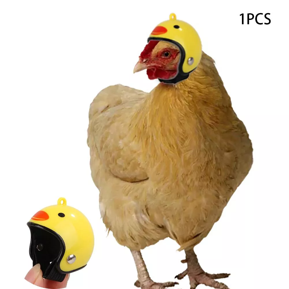 2019-nova-inovacao-moda-frango-capacete-divertido-padrao-pequeno-animal-de
