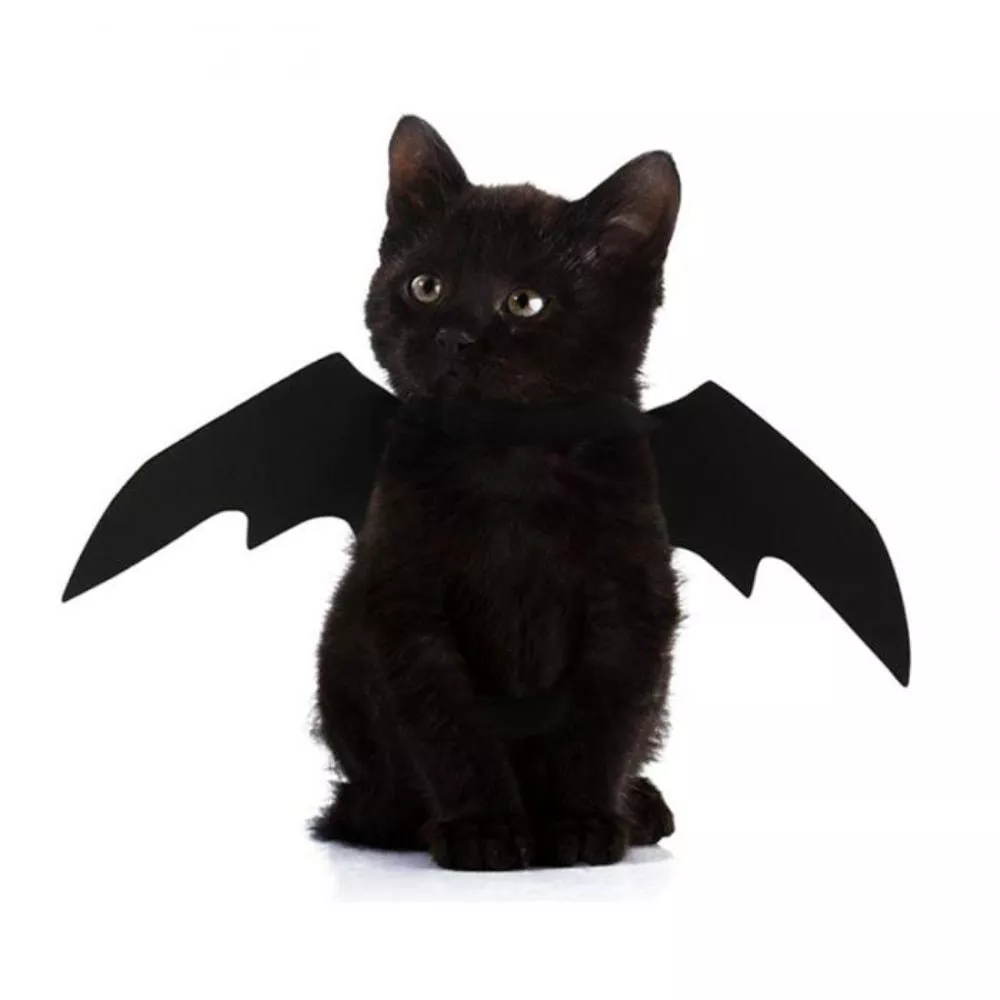 2019 novo oln cão de estimação gato morcego asa cosplay prop halloween bat fantasia vestido traje asas trajes do gato foto adereços headwear