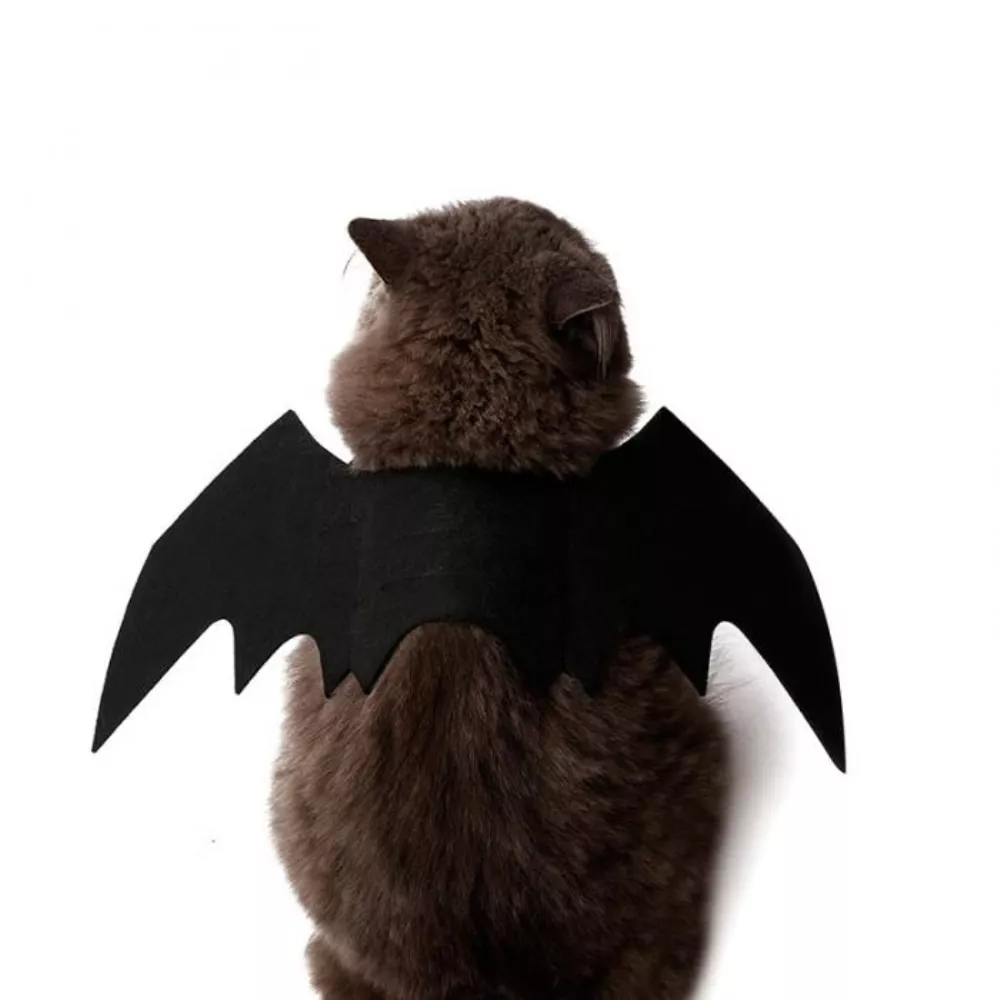 2019-novo-oln-cao-de-estimacao-gato-morcego-asa-cosplay-prop-halloween-bat-fantasia