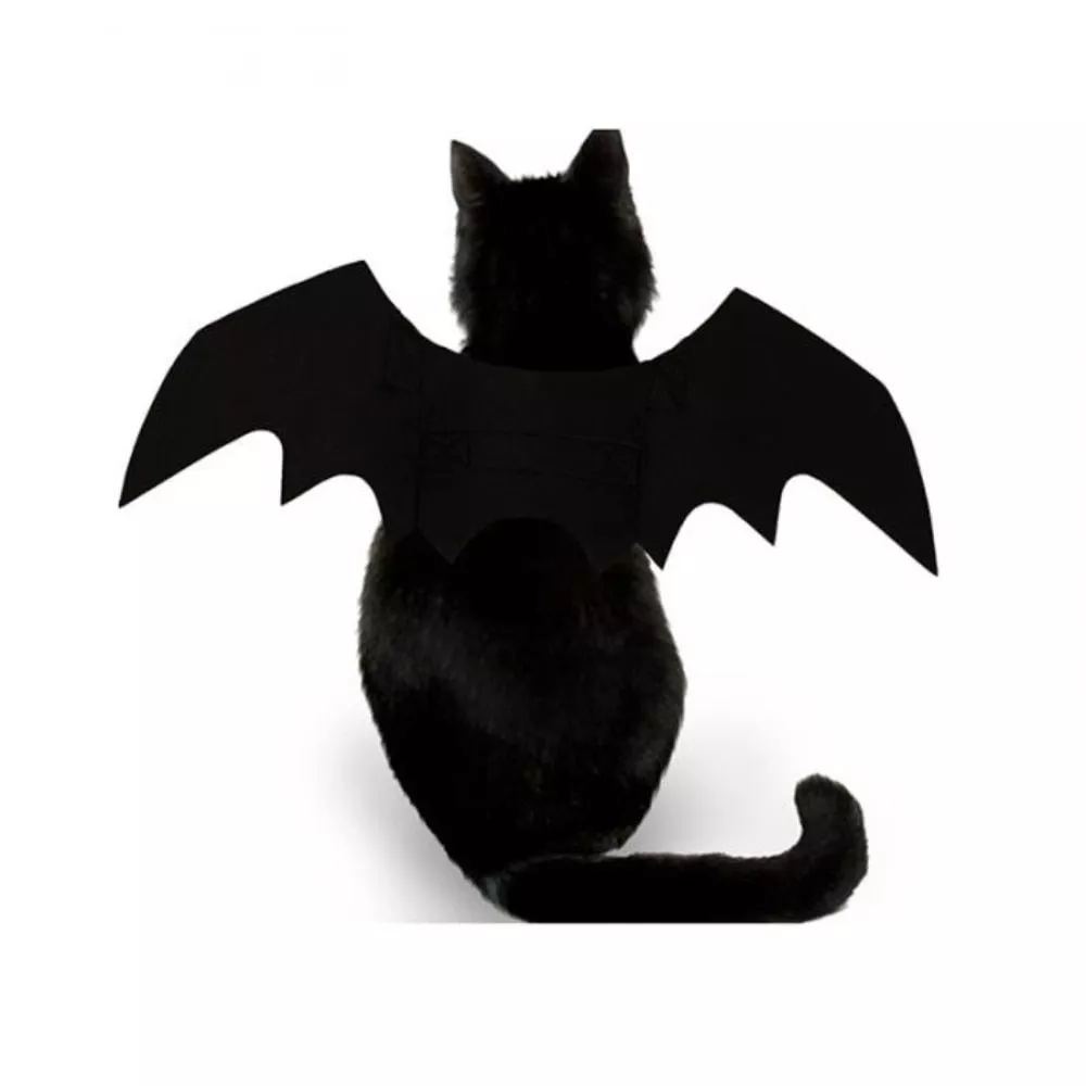 2019-novo-oln-co-de-estimao-gato-morcego-asa-cosplay-prop-halloween-bat-fantasia-vestido-traje-asas-33000425186-3
