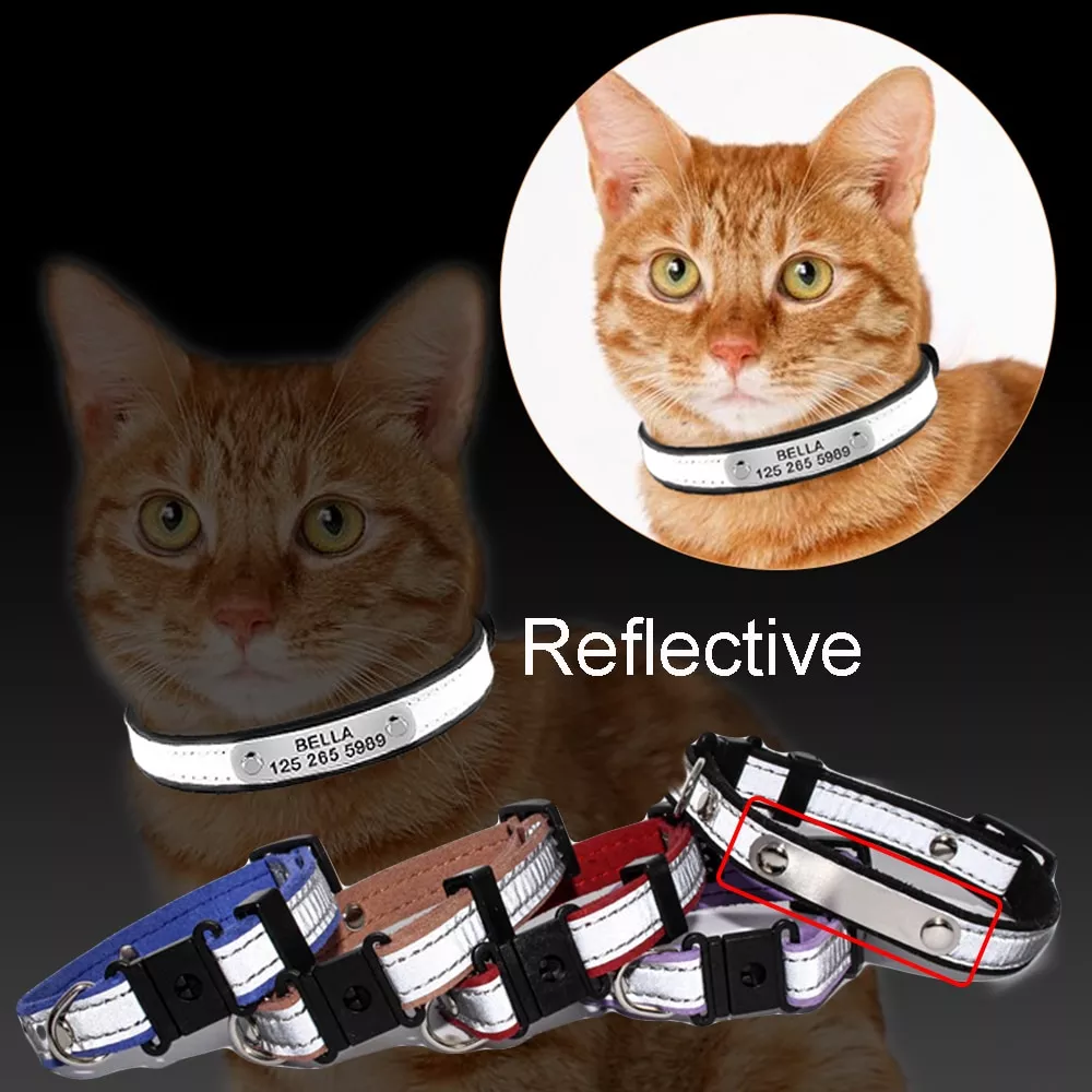 3 in1 engraved cat collar reflective kitten id tag phone number nameplate puppy collar 3 in1 Engraved Cat Collar Reflective Kitten ID Tag Phone Number Nameplate Puppy Collar Charms Small Dog Leather Chain Pet ID Tag