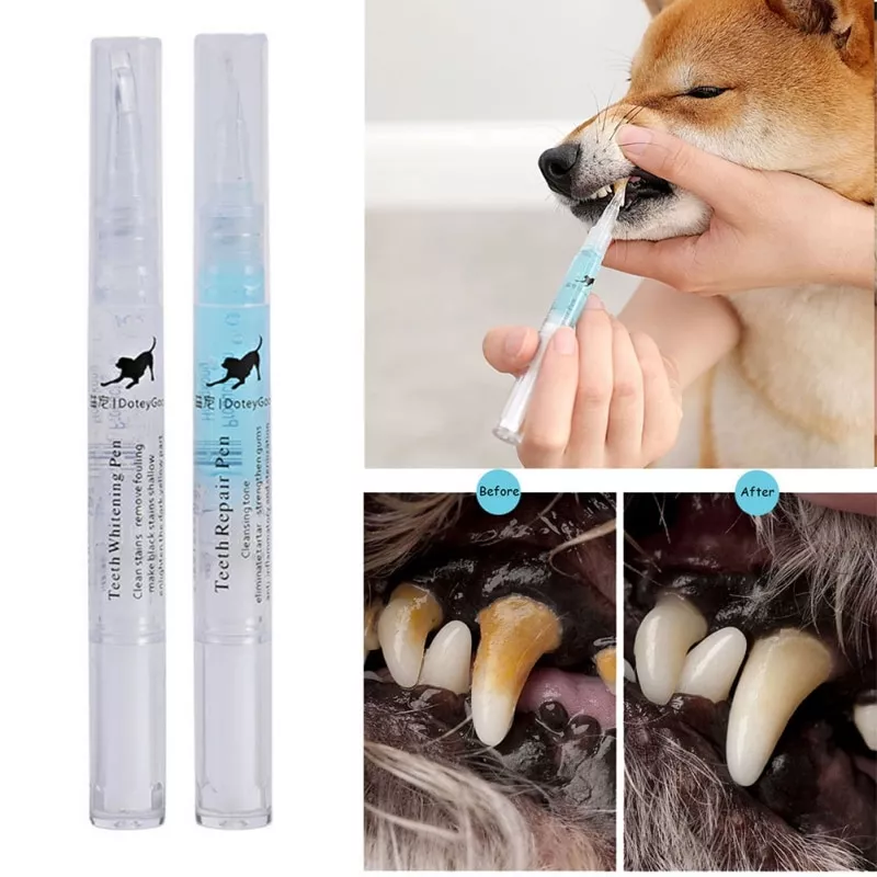 5ml pet ferramenta de limpeza dos dentes caes gatos tartaro removedor pedras Pantufa chinelos masculinos de couro, de alta qualidade, de pu, para inverno, de pelúcia, curto, salto plano, quente, para área interna