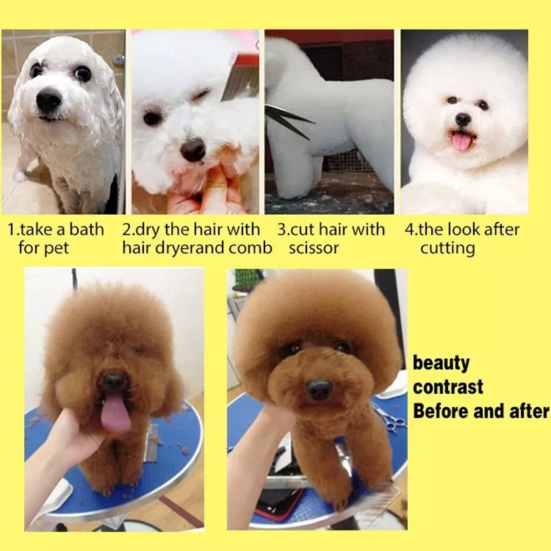 5pcs-Stainless-Steel-Pet-Dogs-Grooming-Scissors-Cat-Hair-Thinning-Shear-Sharp-Edge-Dog-Cutting-Kitte-4000016771825-5