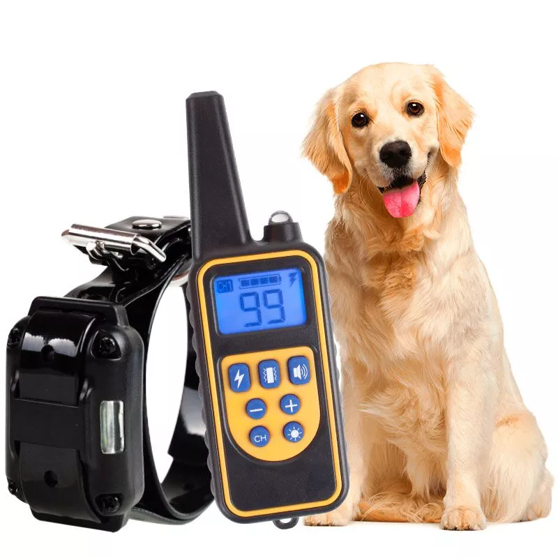 800m electric dog training collar pet remote control waterproof rechargeable with lcd Divulgado novo pôster para Besouro Azul.