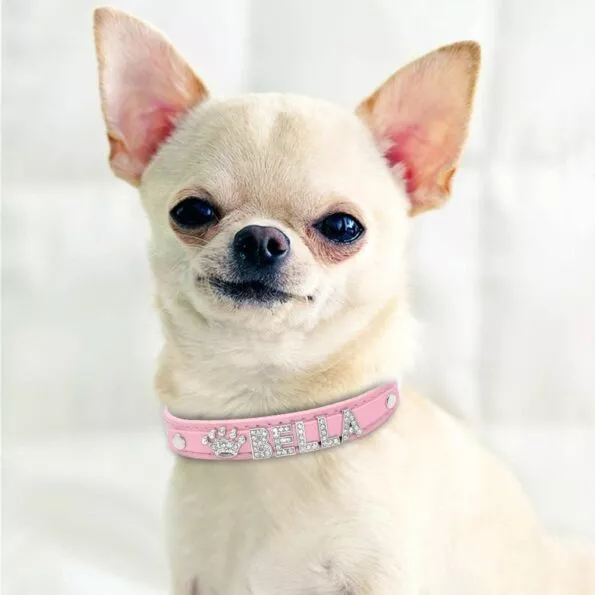 Coleira-personalizada-de-gato-com-strass-coleira-de-cachorro-de-pequeno-porte-personalizada-para-chi-32964519880-2