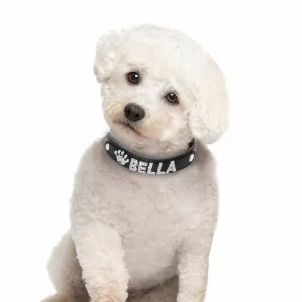 Coleira-personalizada-de-gato-com-strass-coleira-de-cachorro-de-pequeno-porte-personalizada-para-chi-32964519880-3