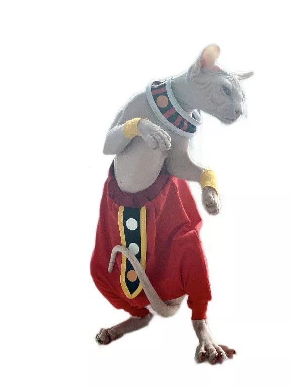 cosplay-sphinx-hairless-gato-personalizado-algodao-cape-calcas-de-virilha-dragoes