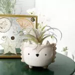 desenhos-animados-suculenta-ceramica-vaso-de-flores-bonito-pote-ourico-coelho
