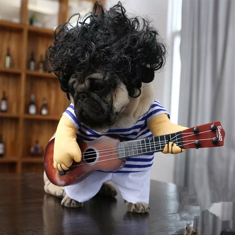 Funny-Guitar-Dog-Clothes-Pet-Puppy-Coats-for-Small-Medium-Dog-Pug-French-Bulldog-Pet-Cat-Clothing-Fu-32813525151-1