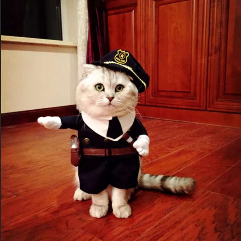 gomaomi-animal-de-estimacao-traje-policial-estilo-cachorro-jeans-roupas-gato