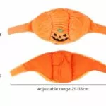 halloween-animal-de-estimacao-foto-aderecos-pelucia-abobora-chapeus-para-gatos