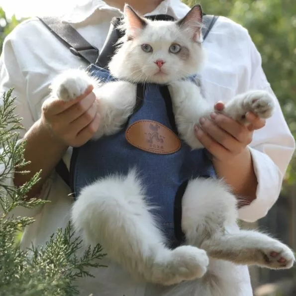 Hoopet-pet-gato-transportadora-moda-saco-de-viagem-mochila-co-respirvel-sacos-para-animais-de-estima-4000354235981-2