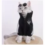 moda-gato-roupas-pet-gato-casacos-jaqueta-hoodies-para-gatos-roupa-quente-animal-de