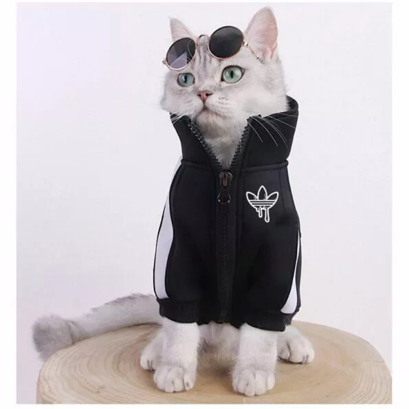 Moda-gato-roupas-pet-gato-casacos-jaqueta-hoodies-para-gatos-roupa-quente-animal-de-estimao-coelho-a-4001201345749-1