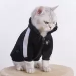 moda-gato-roupas-pet-gato-casacos-jaqueta-hoodies-para-gatos-roupa-quente-animal-de