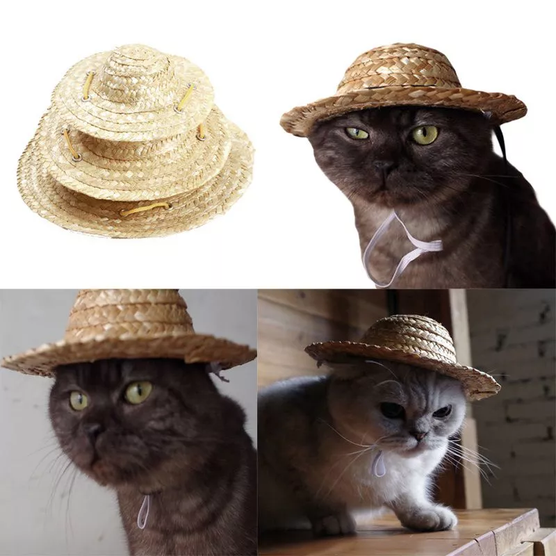pet-sombrero-chapeu-cao-gato-chapeu-pequeno-cao-de-estimacao-ao-ar-livre