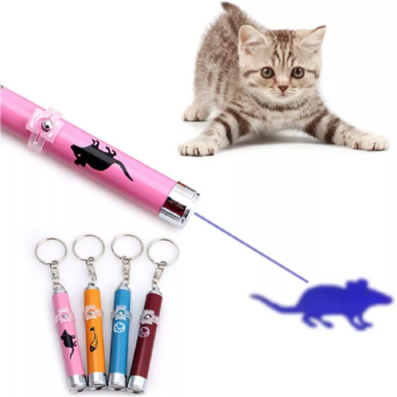 Magazine para gatos - Jogos para gatos e treino: Ponteiro laser para gatos