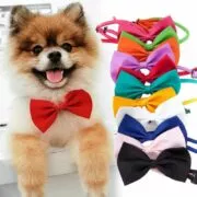 Acessórios para cães animais de estimação kawaii cão gato colar ajustável cinta para gato colar para animal de estimação cachorro laço laço laços cão pet suprimentos