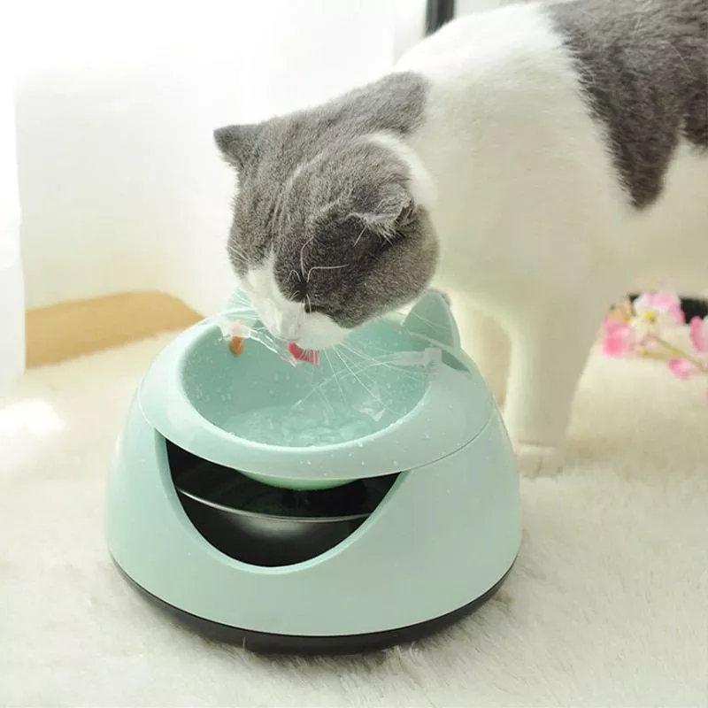 automatic luminous pets water fountain for cats fountain dogs usb electric water Eco Friendly Wheat Straw for Pet Bowl for Dogs and Cats Candy Color Pet Puppy Food Water Bowls Anti-Skip No Tip Blue Green Pink