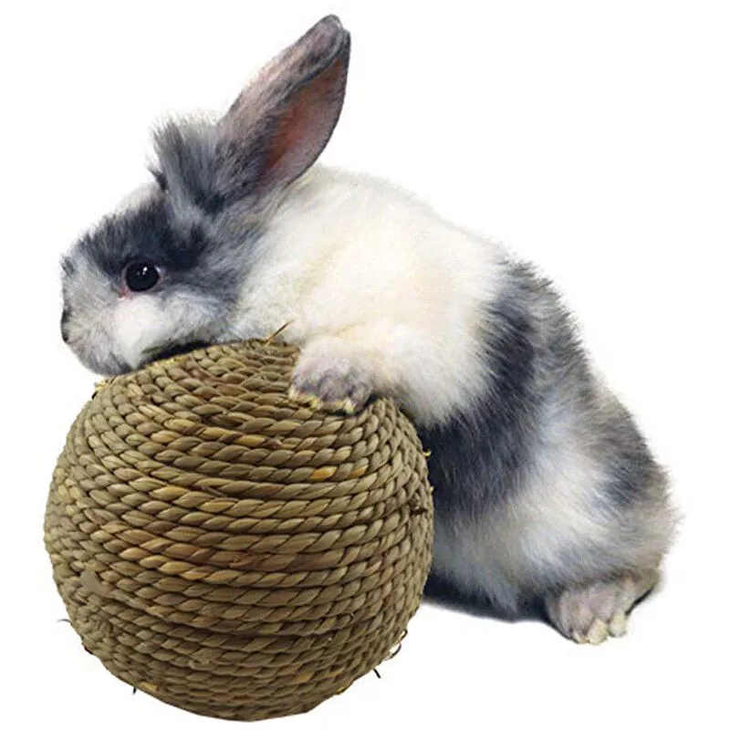 Bola de grama brinquedos limpeza dentes mastigar mordida jogando brinquedo para animais pequenos coelho hamster guiné coelho animais de estimação suprimentos do produto