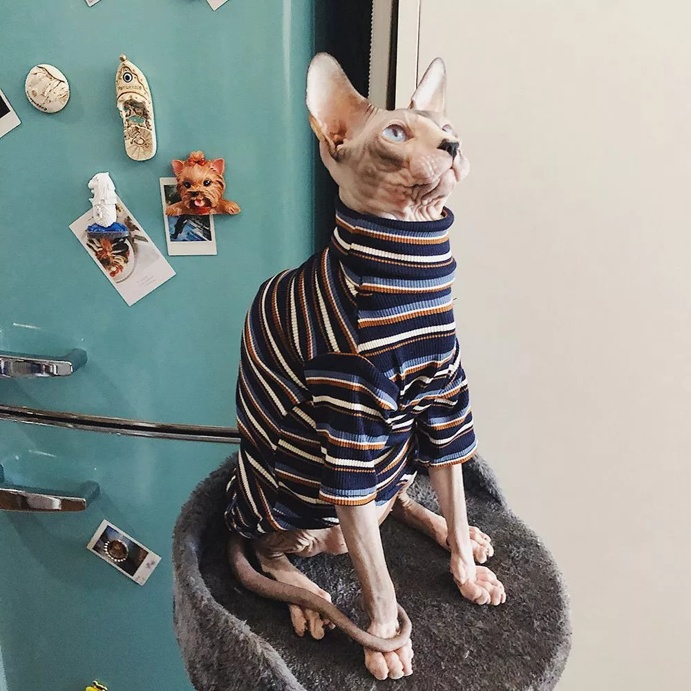 cat clothes for sphinx clothes hairless cat clothes striped clothing warm knitted Cat Clothes for Sphinx Clothes Hairless Cat Clothes Striped Clothing Warm Knitted Sweater Pet Clothes Cat Supplier XS to XL