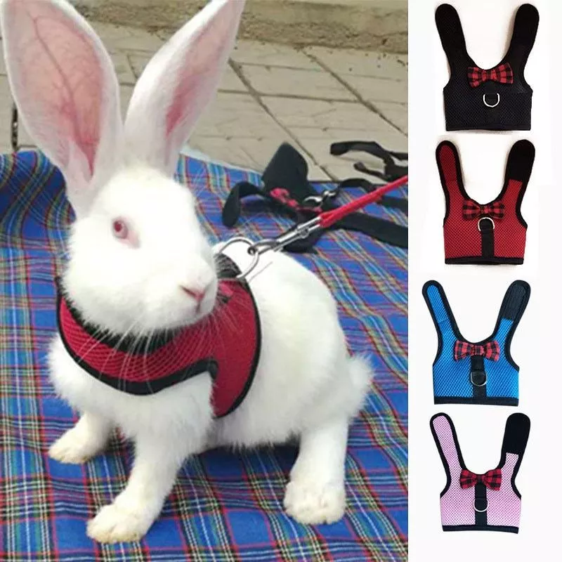 Coelho hamster colete arnês com leas coelho malha cinta de peito arreios furão cobaia pequenos animais acessórios para animais de estimação s/m/l 4