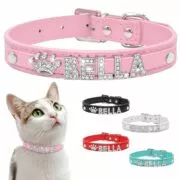 Coleira personalizada de gato com strass, coleira de cachorro de pequeno porte, personalizada para chihuahua yorkshire, nome grátis, acessórios para gatos