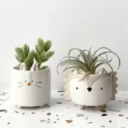Desenhos animados suculenta cerâmica vaso de flores bonito pote ouriço coelho filhote de cachorro pequeno animal vaso de flores criativo quarto decoração de mesa