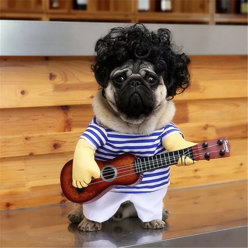 Funny Guitar Dog Clothes Pet Puppy Coats for Small Medium Dog Pug French Bulldog Pet Cat Clothing Funny Costumes For Dogs