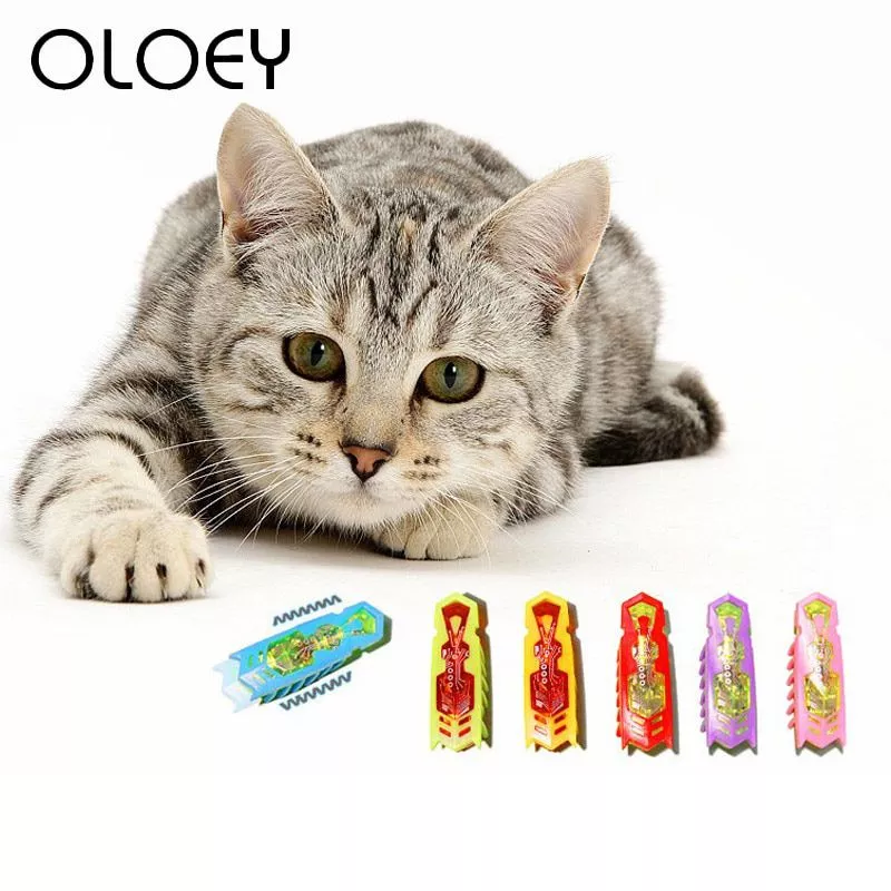 funny nano hex robot bug electric cat interactive toy fast moving pet training playing Suporte Anel Dedo Para Celular Button Smile