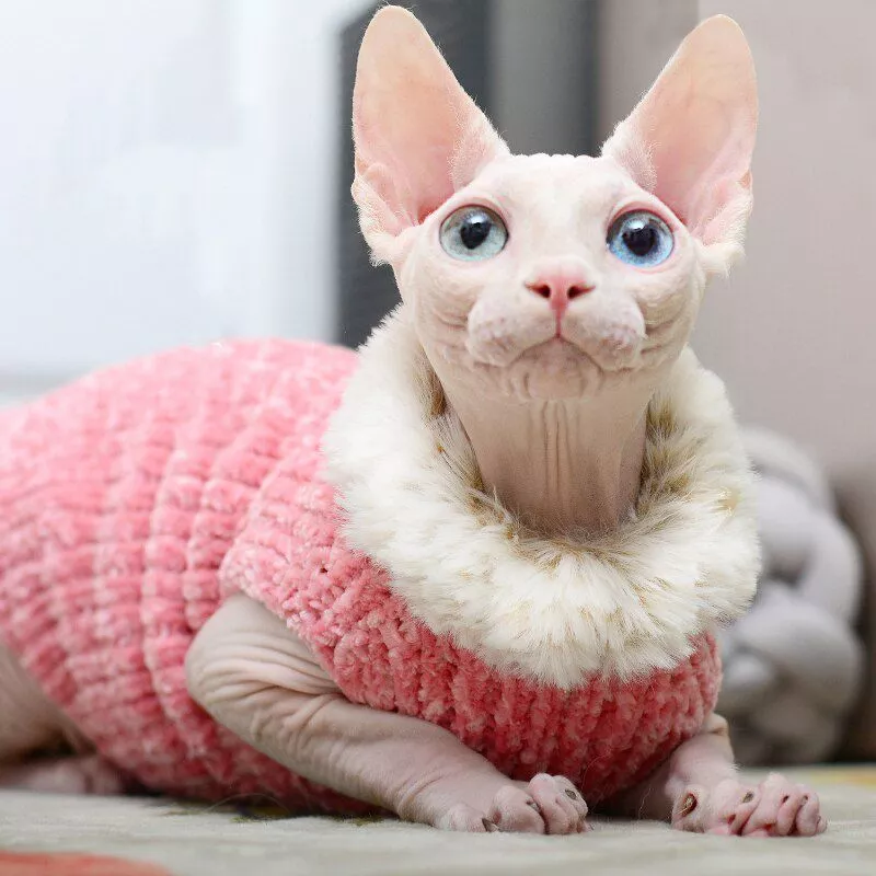 gato roupas artesanais camisola de vison la quente colete outono inverno sem pelos Gargantilha de metal com pico, colar de couro pu, colar de punk, joia feminina, acessórios para pescoço x627