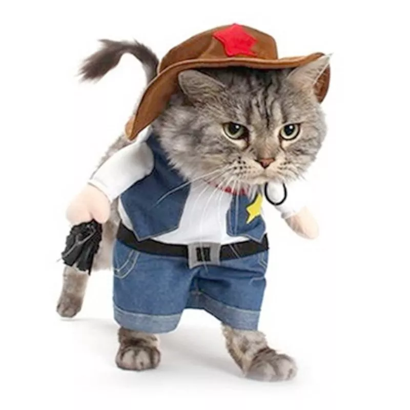 gomaomi animal de estimacao cachorro gato traje cowboy jeans camisas com capuz Action Figure yata misaki & fushimi saruhiko figuras de ação anime pvc brinquedos coleção modelo brinquedos frete grátis