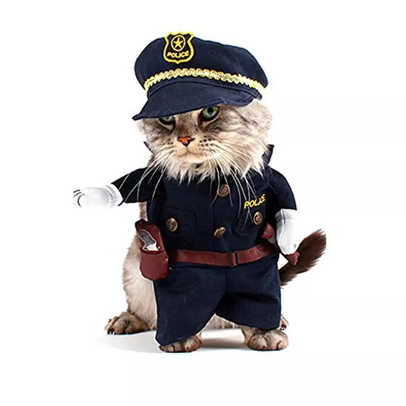 gomaomi animal de estimacao traje policial estilo cachorro jeans roupas gato Broche Pokemon Squirtle bonito anime animal de estimação crachá bordado tartaruga esmalte pinos squirtle zenigame broche