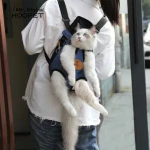 hoopet pet gato transportadora moda saco de viagem mochila cao respiravel sacos para Anunciado filme de animação de Avatar, Aang: O Último Dobrador de Ar.