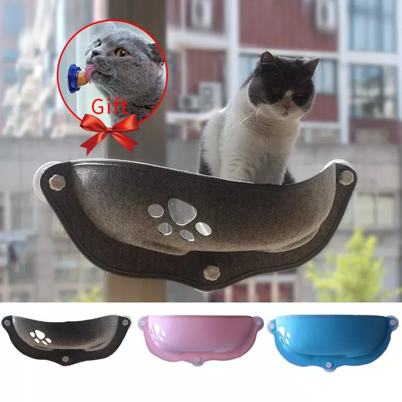 hot sale pet hammock beds bearing 20kg cat window lounger suction hammock pet cat Eco Friendly Wheat Straw for Pet Bowl for Dogs and Cats Candy Color Pet Puppy Food Water Bowls Anti-Skip No Tip Blue Green Pink