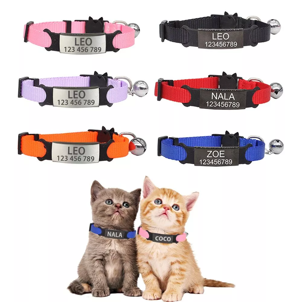 id personalizado livre gravura colar de gato seguranca breakaway pequeno cao bonito 1 pçs led coleira de cão de estimação bonito pingente de segurança noite luminosa luz da noite colar pedante suprimentos para animais de estimação acessórios para cães