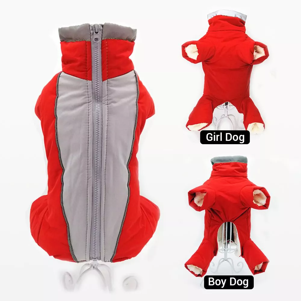 macacao de inverno para caes quente a prova dwaterproof agua pet macacao calcas Mulheres Chinelos Em Casa Chinelos Bonitos dos desenhos animados de Inverno Feminino Sapatos Quentes Amantes do Piso Interior Sala de Calçado Com Pêlo Macio Chinelo De Pelúcia Quente venda