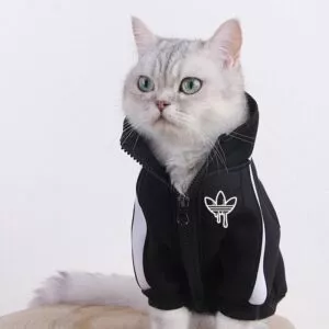 moda gato roupas pet gato casacos jaqueta hoodies para gatos roupa quente animal de Sapatos femininos bonitos de porco, calçados femininos listrados com sola macia # cn30