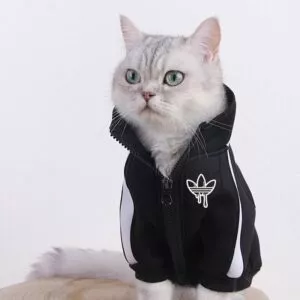 moda gato roupas pet gato casacos jaqueta hoodies para gatos roupa quente animal de Azora rosa ouro cor stellux cristais coração pingente colar para o dia dos namorados presente do amor tn0009