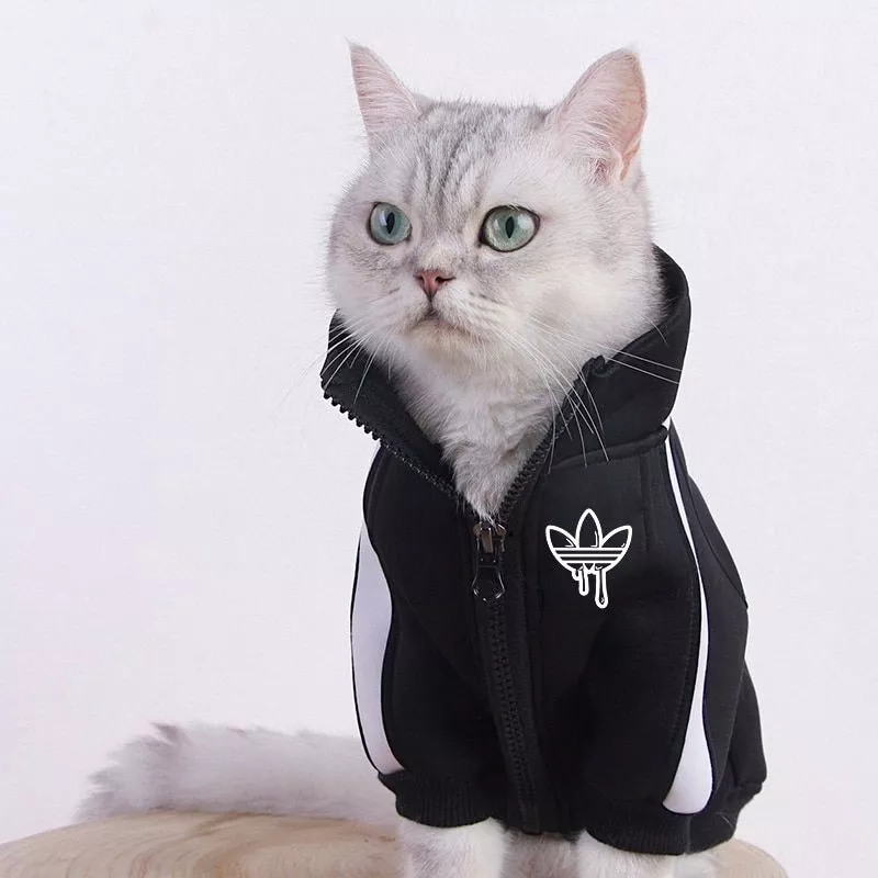 🔥 Moda Gato Roupas Pet Gato Casacos Jaqueta Hoodies Para Gatos