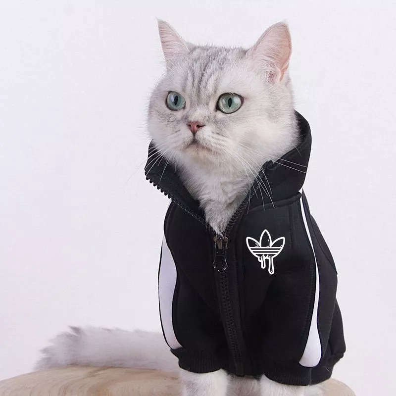 🔥 Moda Gato Roupas Pet Gato Casacos Jaqueta Hoodies Para Gatos Roupa  Quente Animal De Estimação Coelho Animais De Estimação Traje Para Cães 20 -  Geek Magazine.com.br