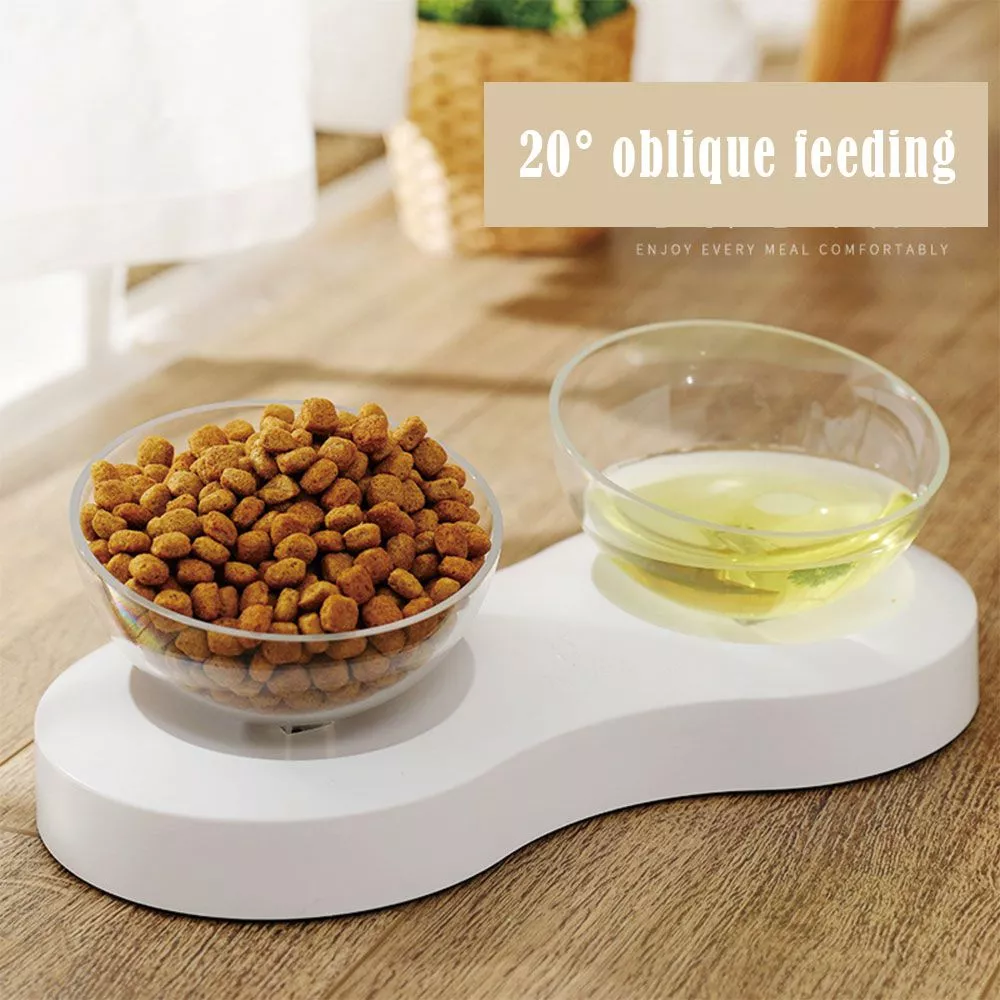 non slip cat bowls double bowls adjustable angle pet food and water bowls for cats Saintace viagem garrafa de água criativo bonito raposa garrafas de água de vidro esporte portátil à prova de vazamento copos de beber dropshipping 2020 novo