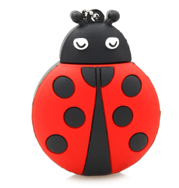 Pen Drive Joaninha 4GB a 32GB