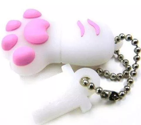 Pen Drive Pata de Gato 2GB a 64GB