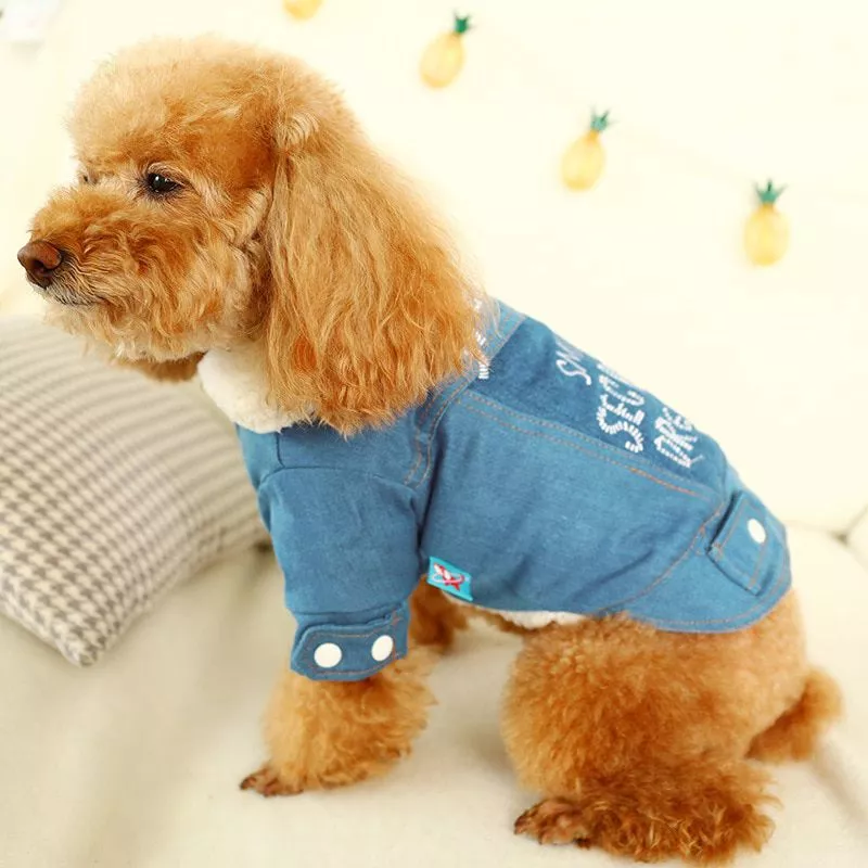 Pet Dog Clothes Cat Costume English Lettered Cowboy Cotton-padded Warm Small And Medium Fold-down Collar Clothes