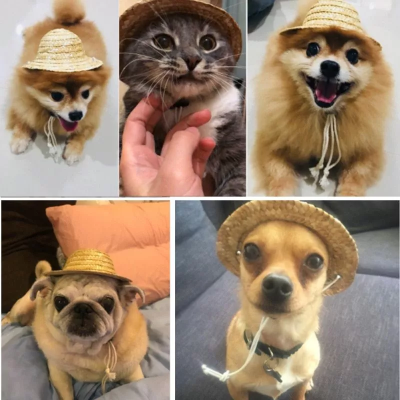 pet sombrero chapeu cao gato chapeu pequeno cao de estimacao ao ar livre Bolsa 29cm saco de pelúcia brinquedo grande capacidade mochila kuromied lolied shouder saco boneca adorável pingente bolsa brinquedo presente da namorada