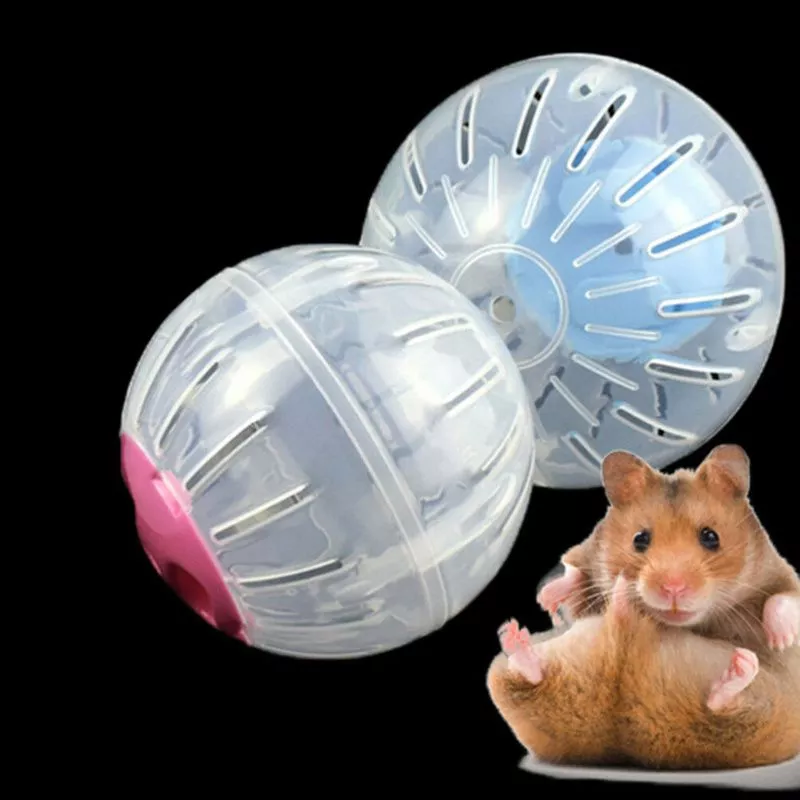 Plástico pequeno animal de estimação ao ar livre esporte bola brinquedos de rato roedor de estimação ratos jogging bola brinquedo hamster gerbil rato exercício bolas jogar brinquedos