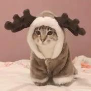 Roupa de inverno para gatos e cachorros, fantasia para animais de estimação, macacão de lã quente para gatos pequenos e gatos, casaco e jaqueta, roupa para cachorros