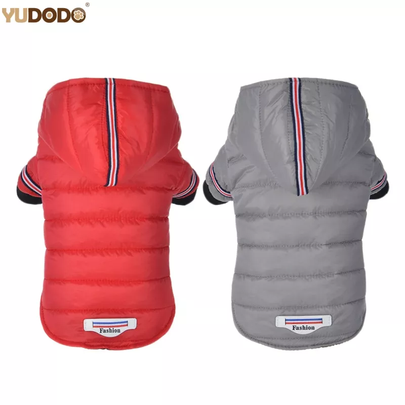 roupas de cachorro pequeno inverno quente pet caes casaco jaqueta filhote Óculos Anime toilet-bound hanako kun tsuchigomori cosplay óculos de meia armação óculos de metal não-lente molduras