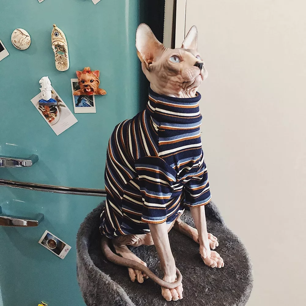 Roupas de gato para esfinge roupas de gato sem cabelo roupas de gato listrado roupas de malha quente camisola para animais de estimação gato fornecedor xs a xl